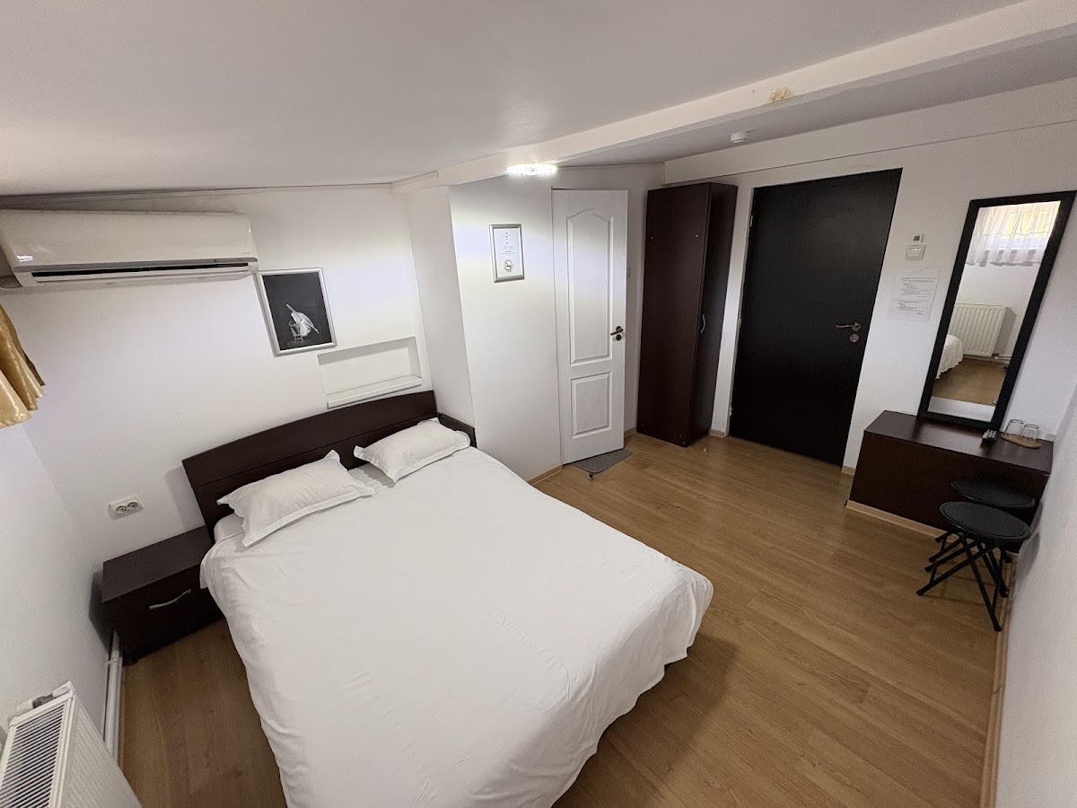 Vila ADA București - foto 2