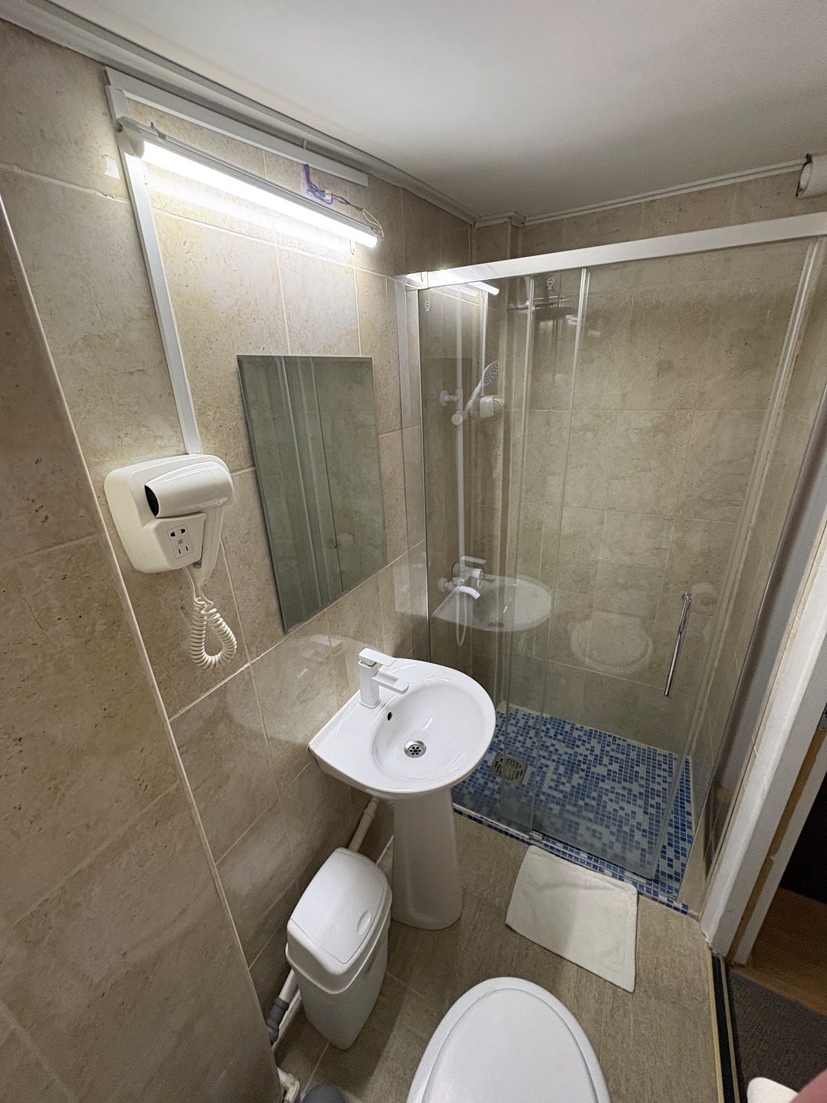 Vila ADA București - foto 3