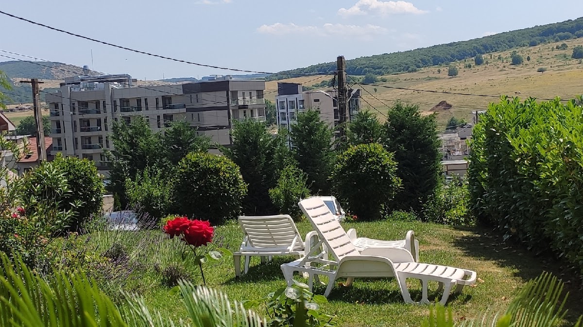 Vila Allegra, Oradea