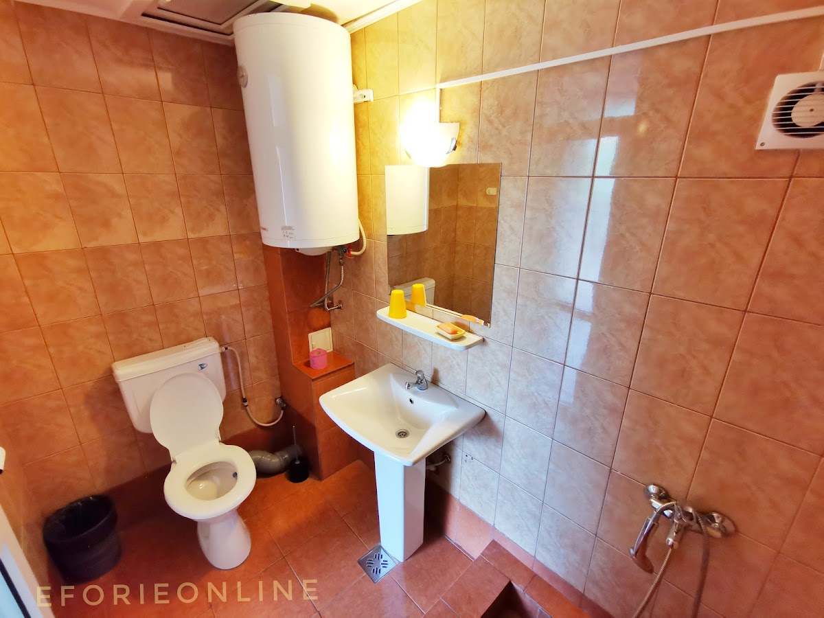 Vila Andrei - foto 3