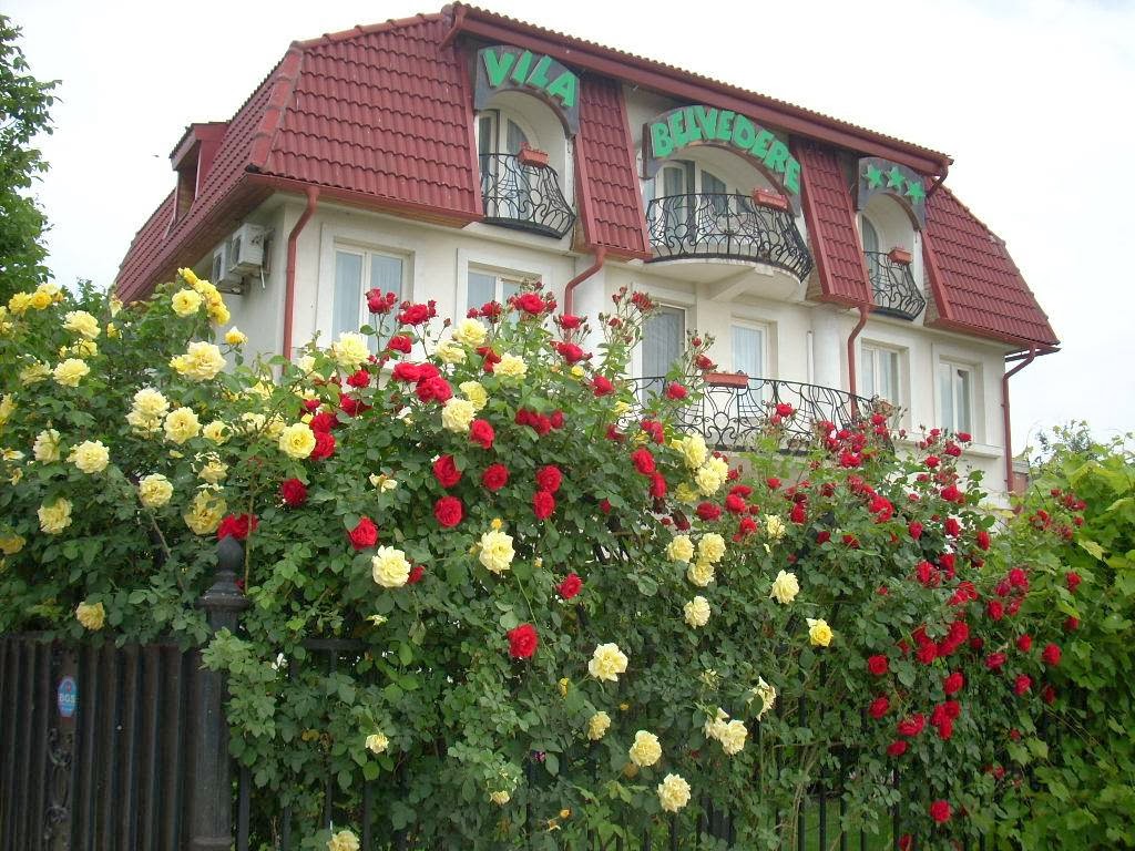 Vila Belvedere