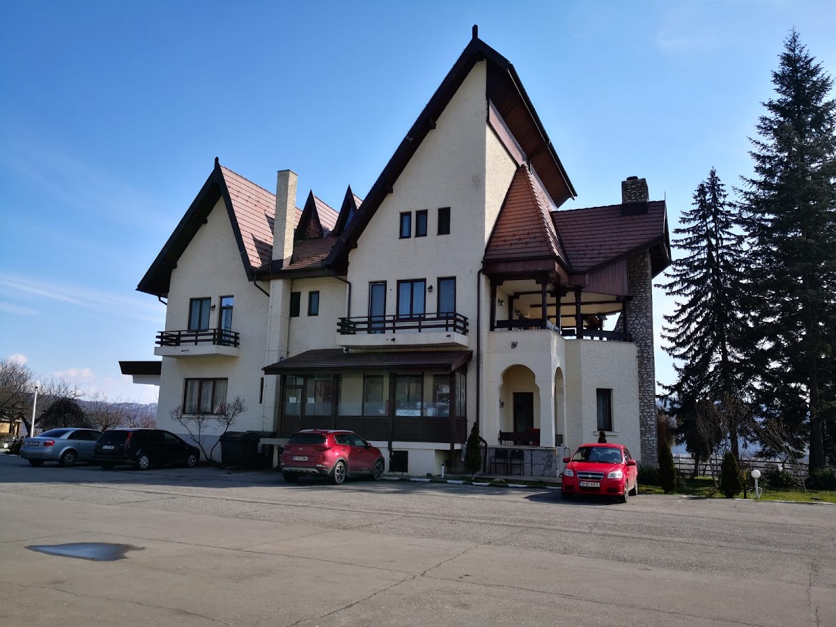 Vila Boierului - foto 2