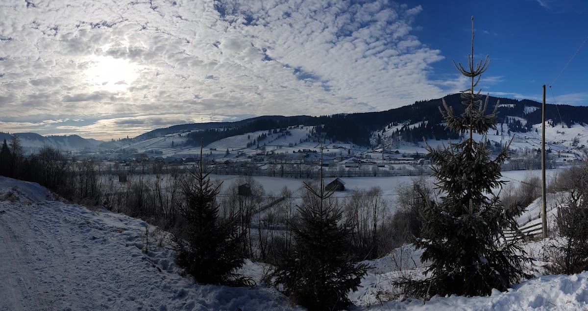 Vila Bucovina