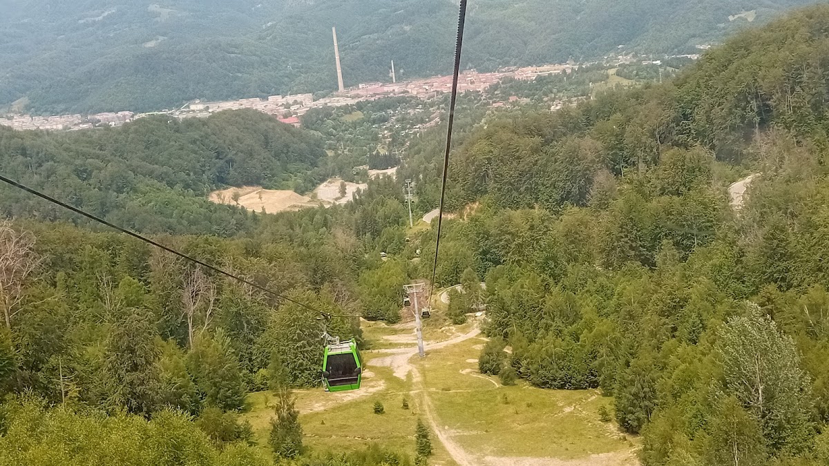 Vila Casa Cu Tei