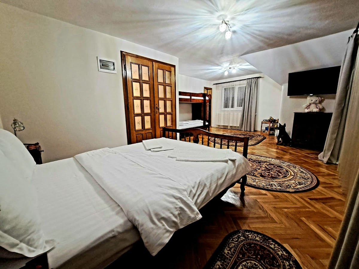 VILA COCA, SĂLIȘTE, SIBIU - foto 5