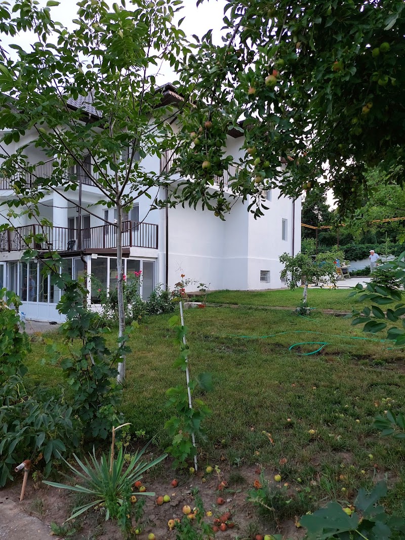 Vila de pe Lac, Amara
