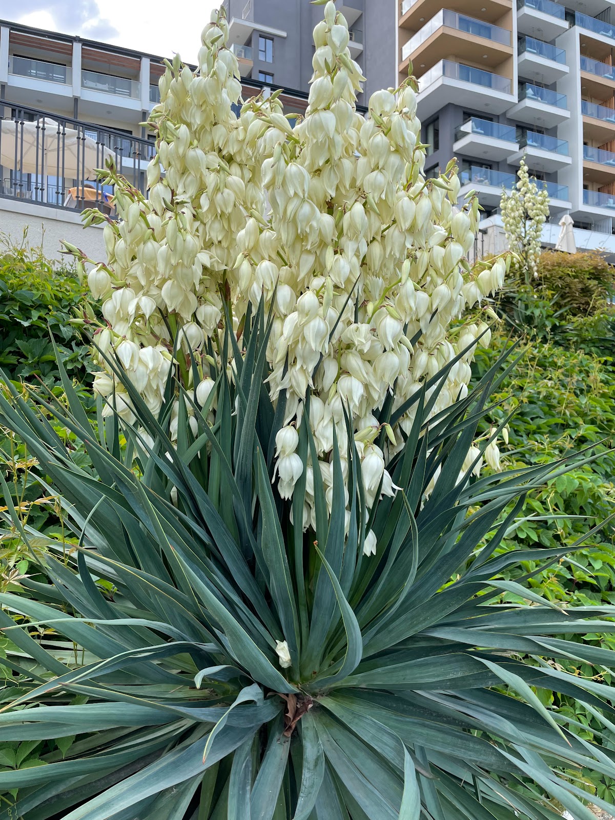 Vila La Famiglia - foto 1