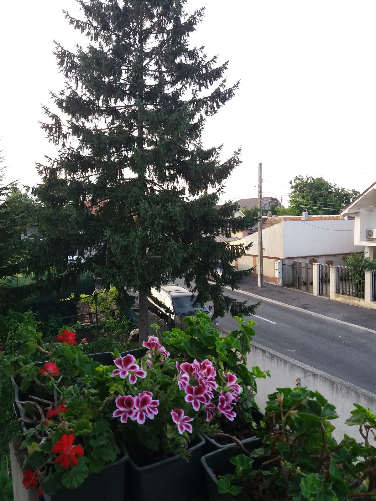 Vila Maria Cumpana City - foto 5