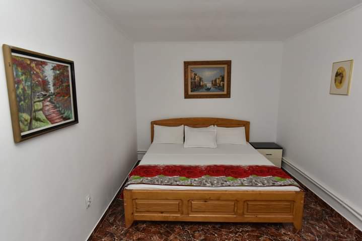 Vila si casa Kara - foto 2