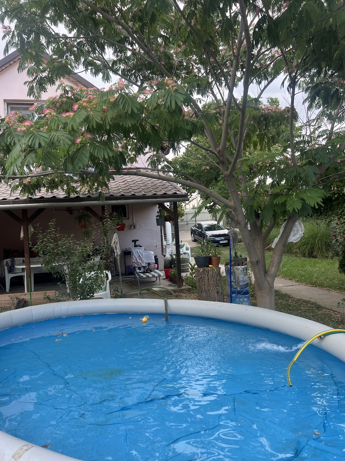 Vila Siminica