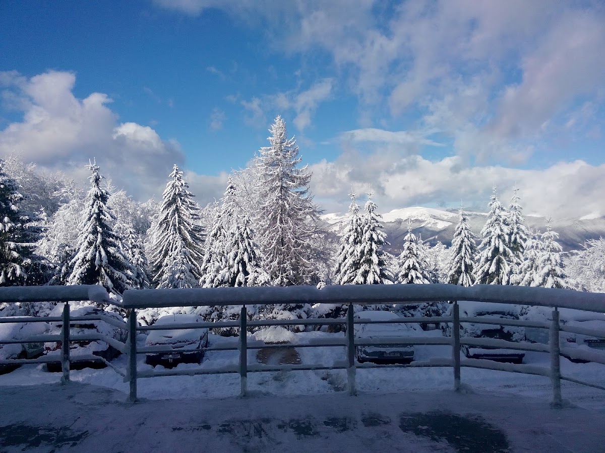 Vila Straja - foto 3