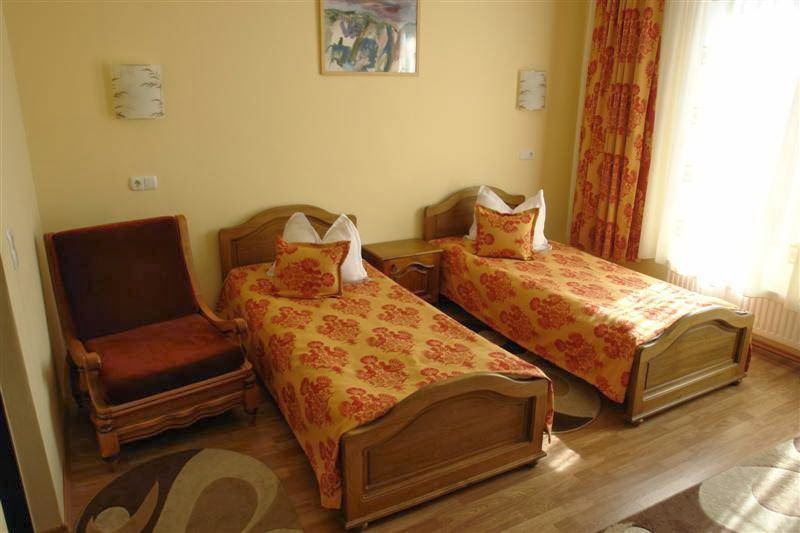 Villa Tineretului - foto 5