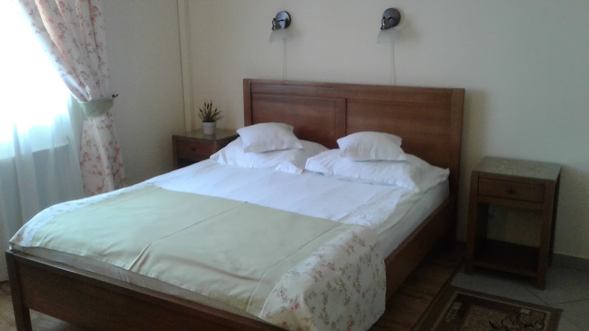 Vila Toparceanu - foto 5