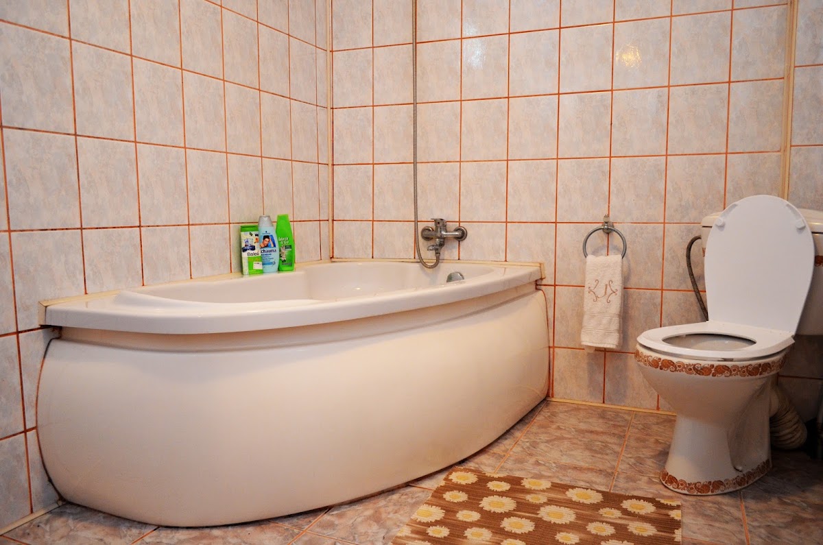 Vila Trotuș - de vanzare