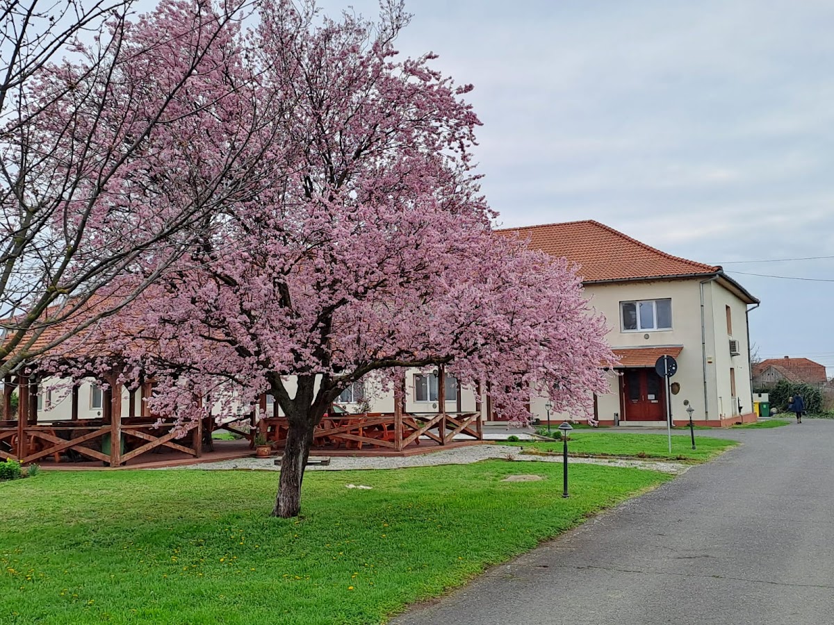 Vila (turistica)Zoppas Inn - foto 1