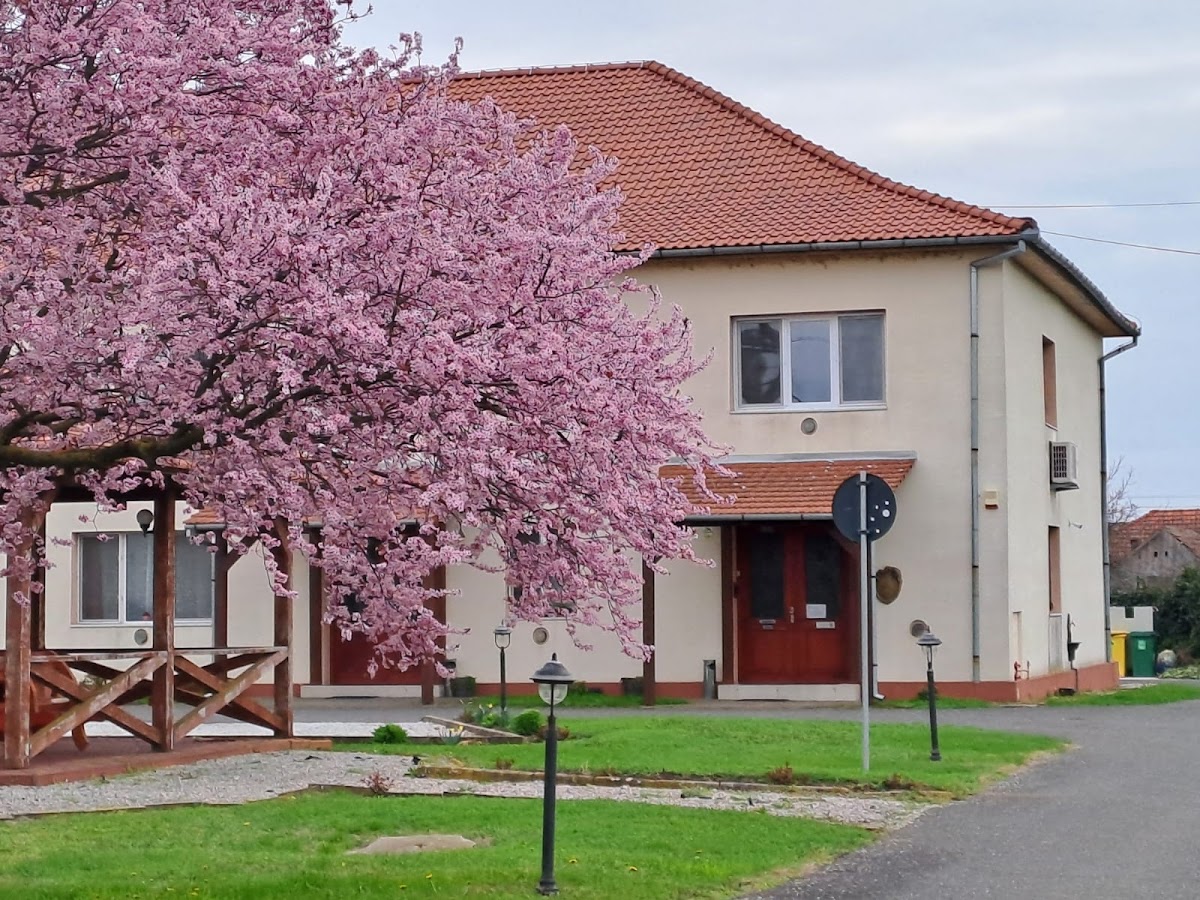 Vila (turistica)Zoppas Inn - foto 4