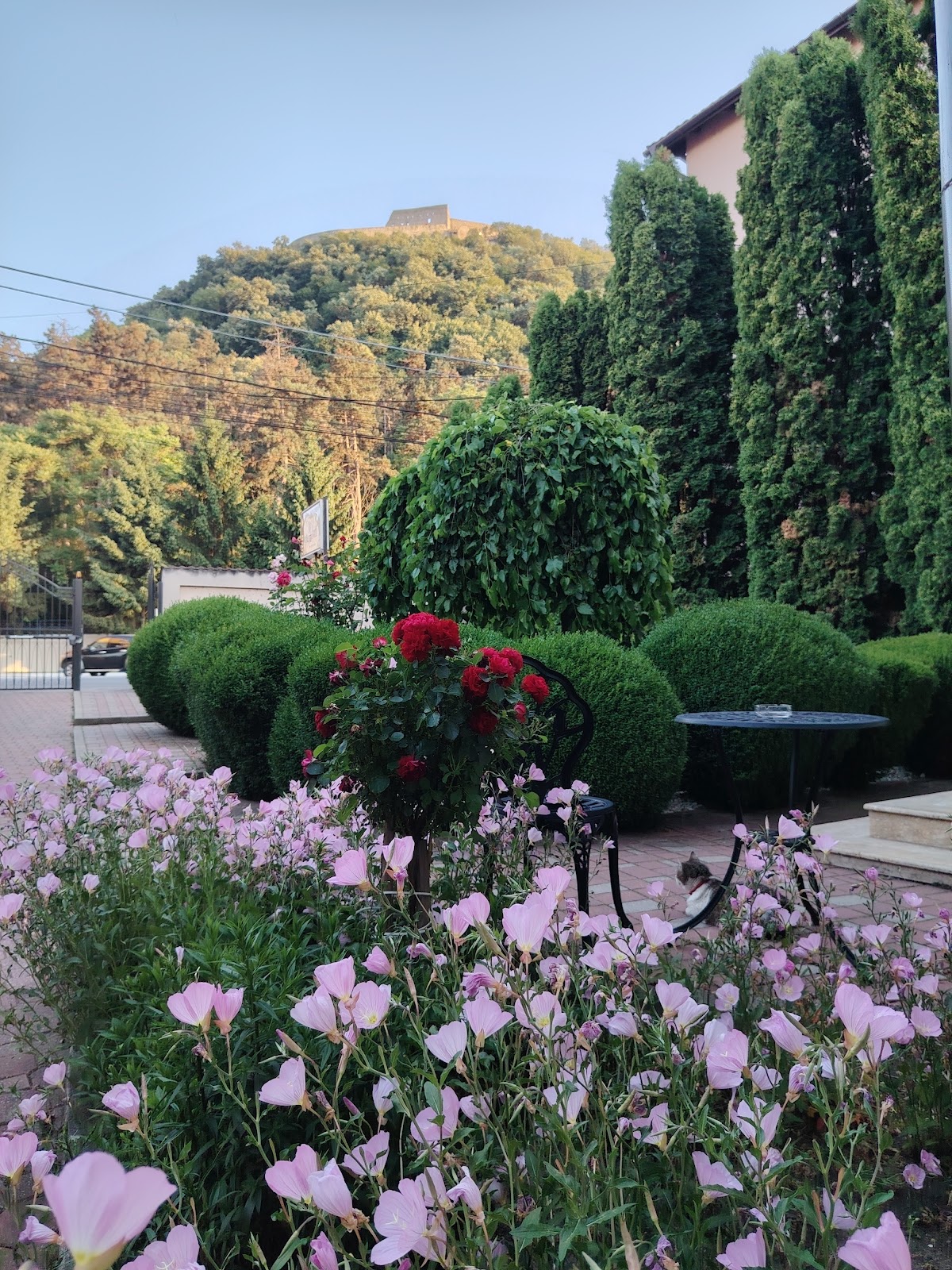 Villa Boutique Alina