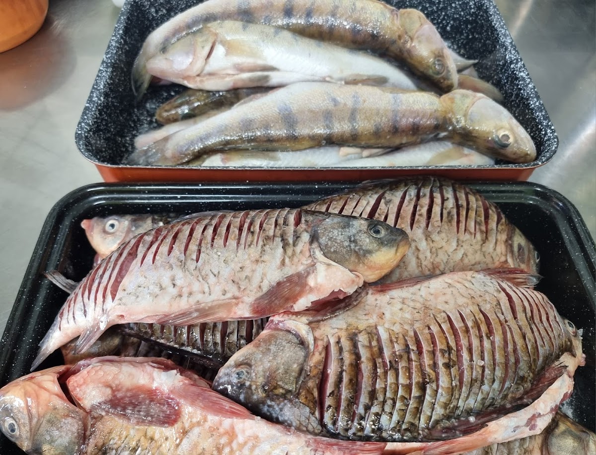 "Vin la Pește" Cherhana-delivery - foto 5