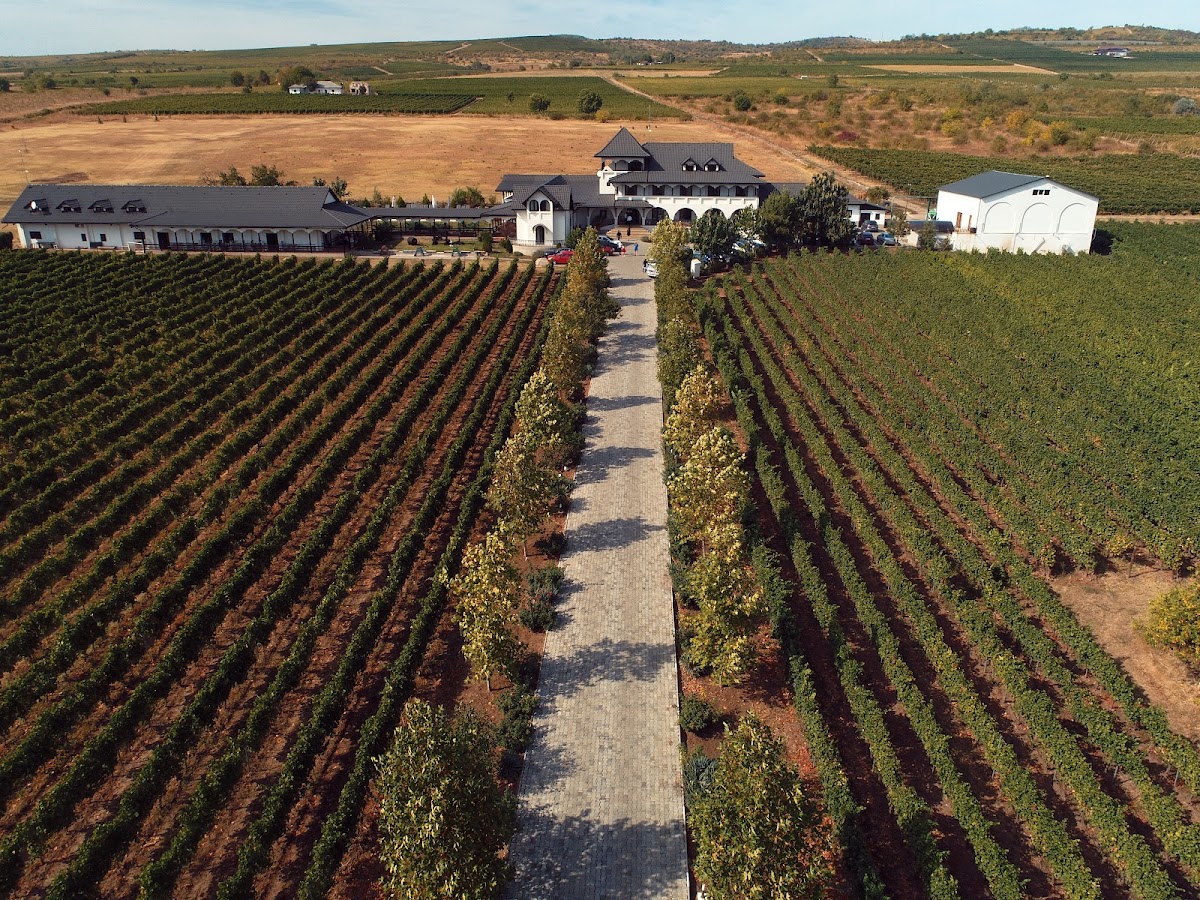 Vinalia Conacul din Ceptura - foto 5