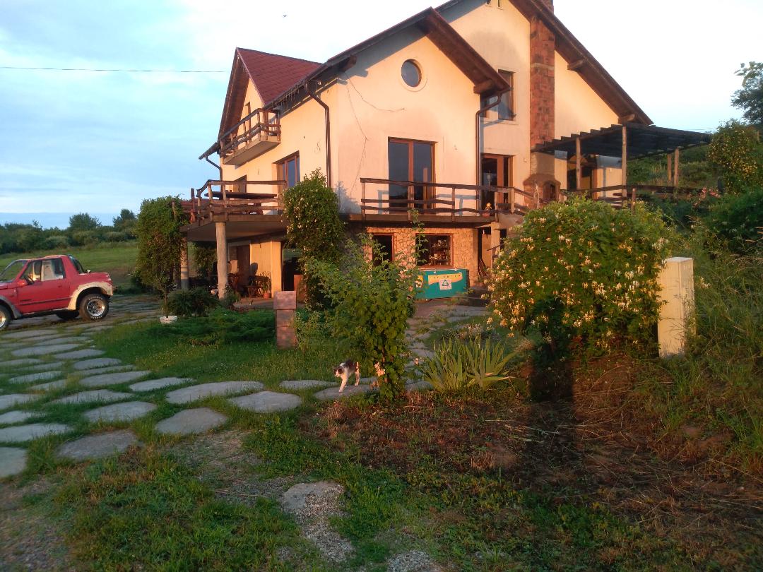 Vis Pension