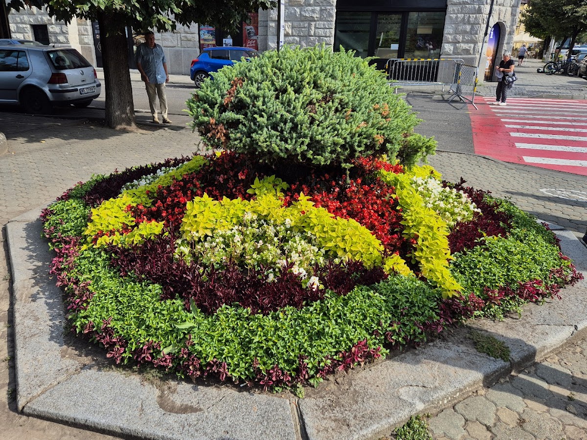 Visit Mureș - foto 2