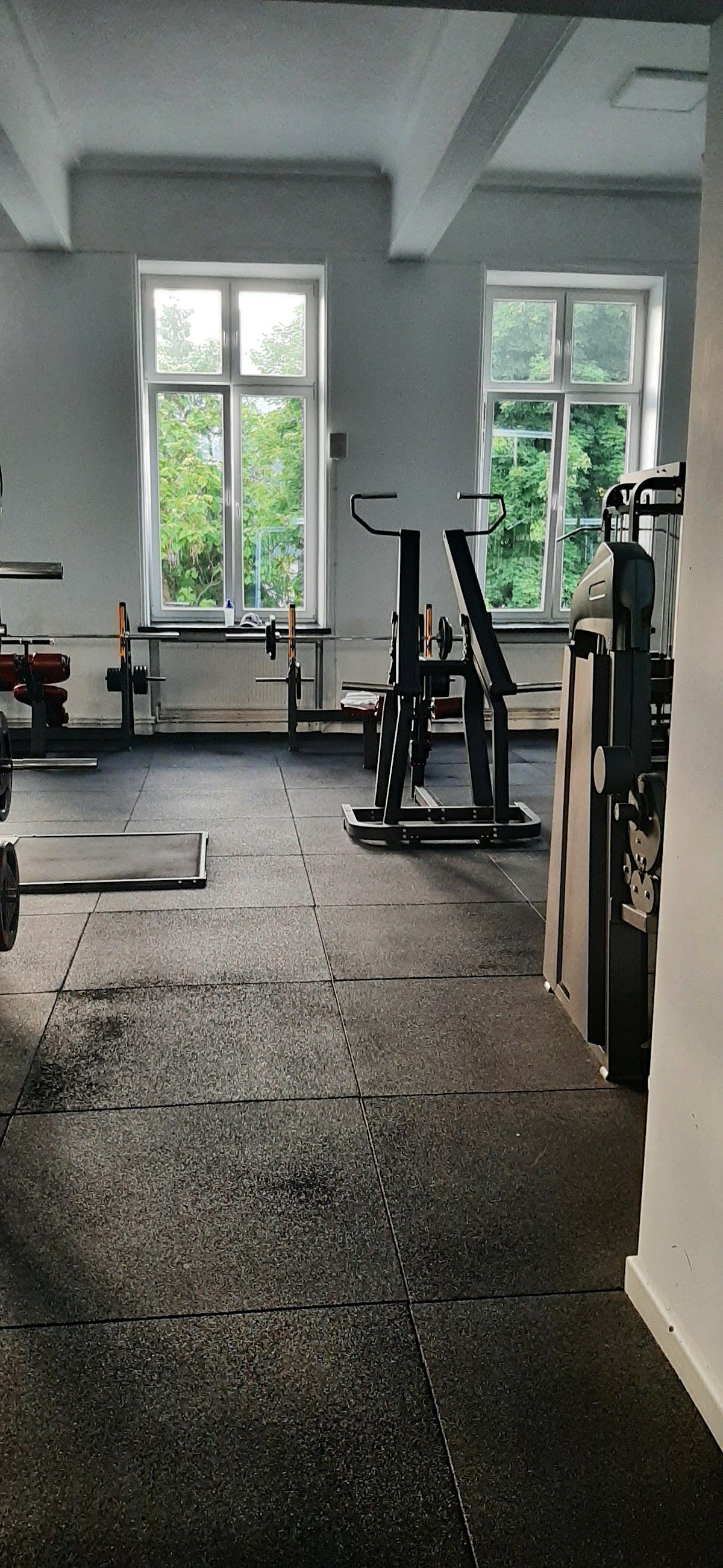 VLM's Gym - foto 3