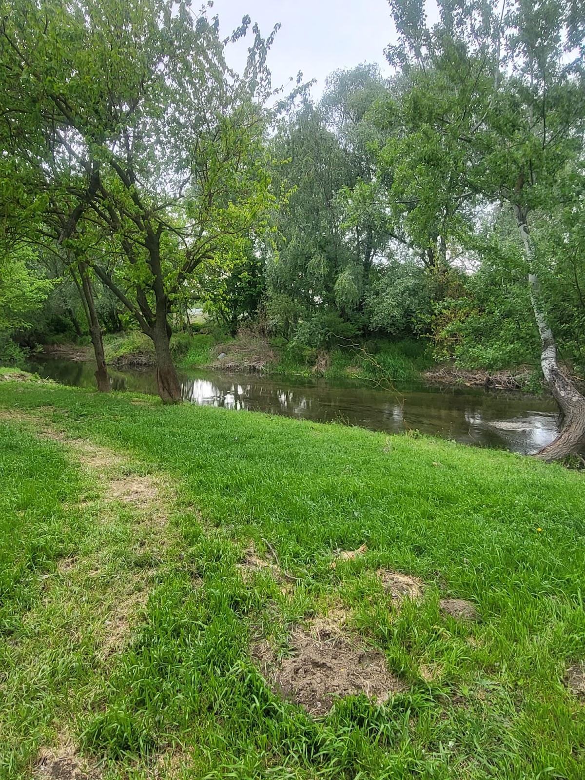 Western Park - foto 4