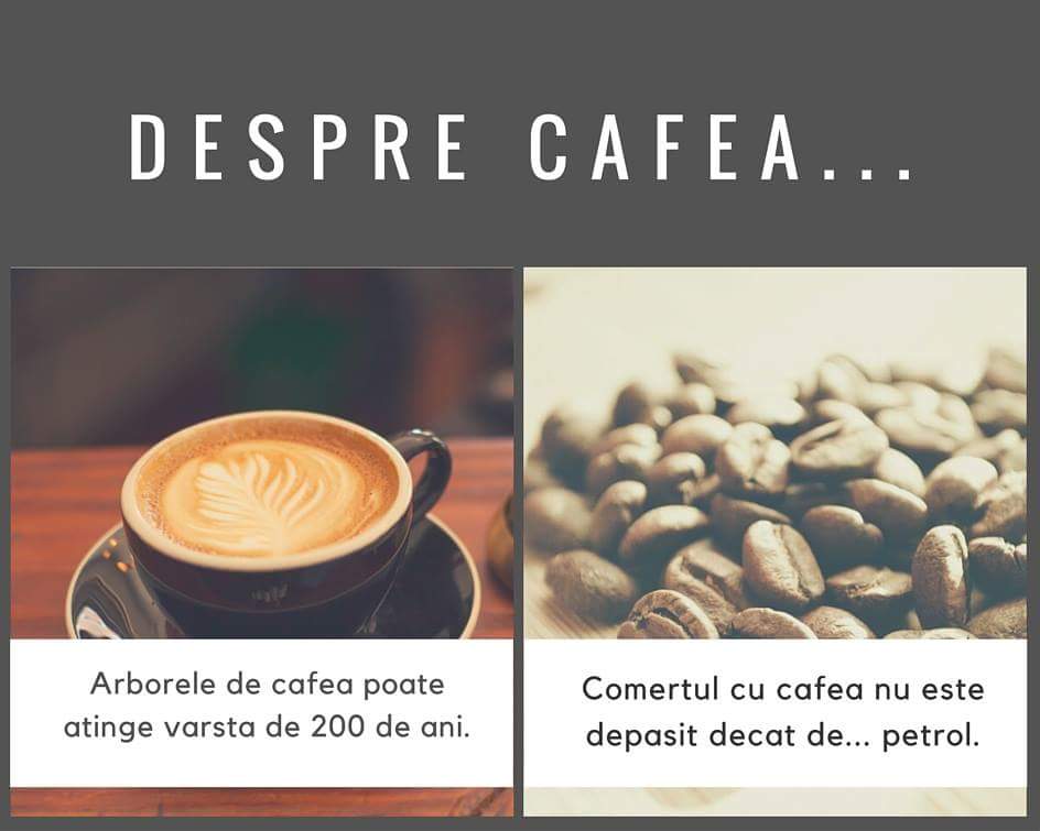 Wiss Cafe, Roşiori de Vede