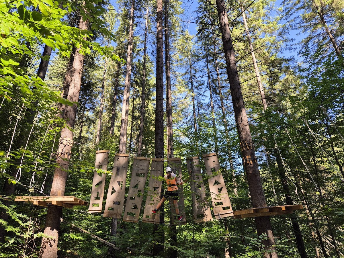 Wolf Park Adventure