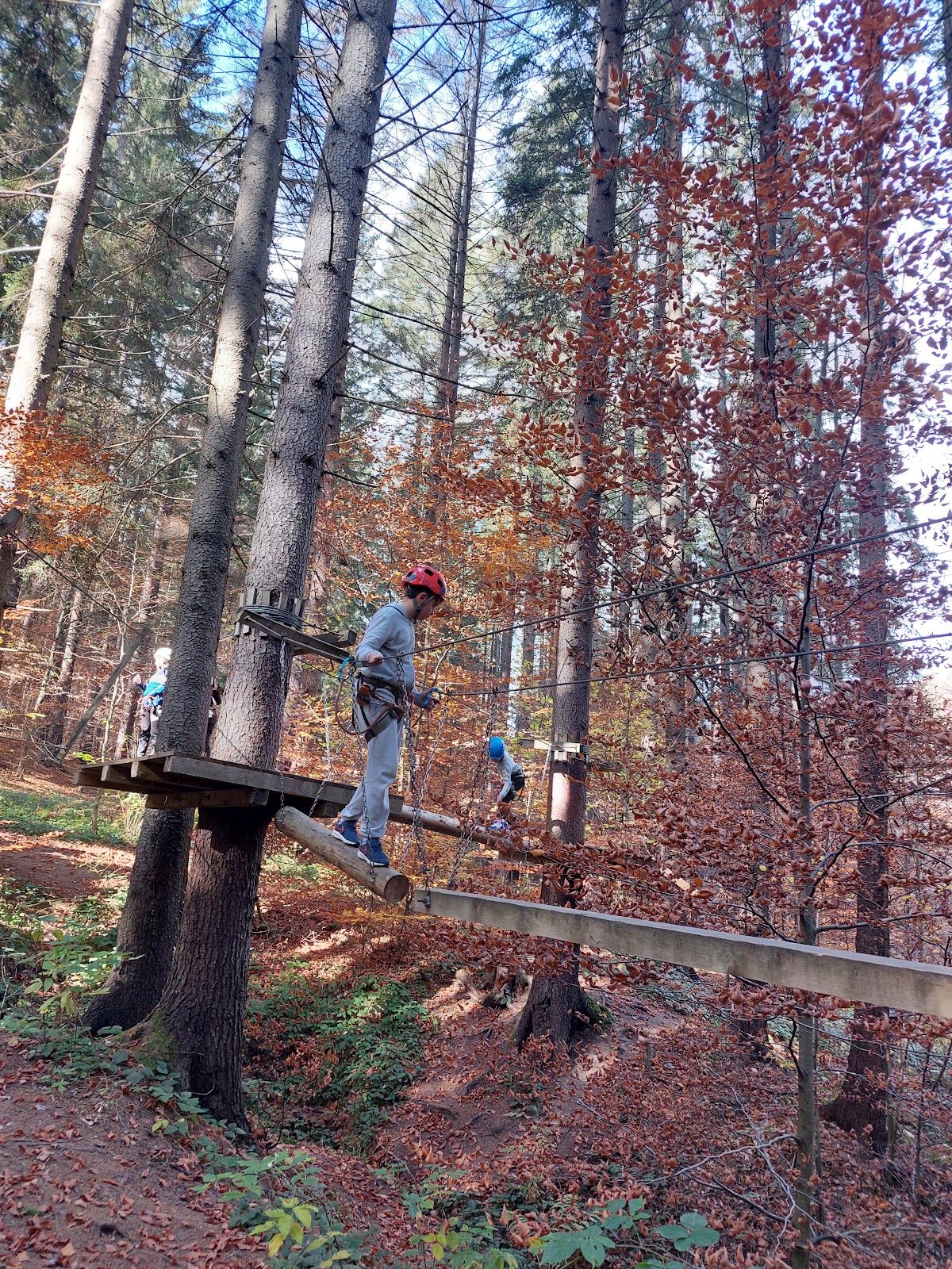 Wolf Park Adventure - foto 2