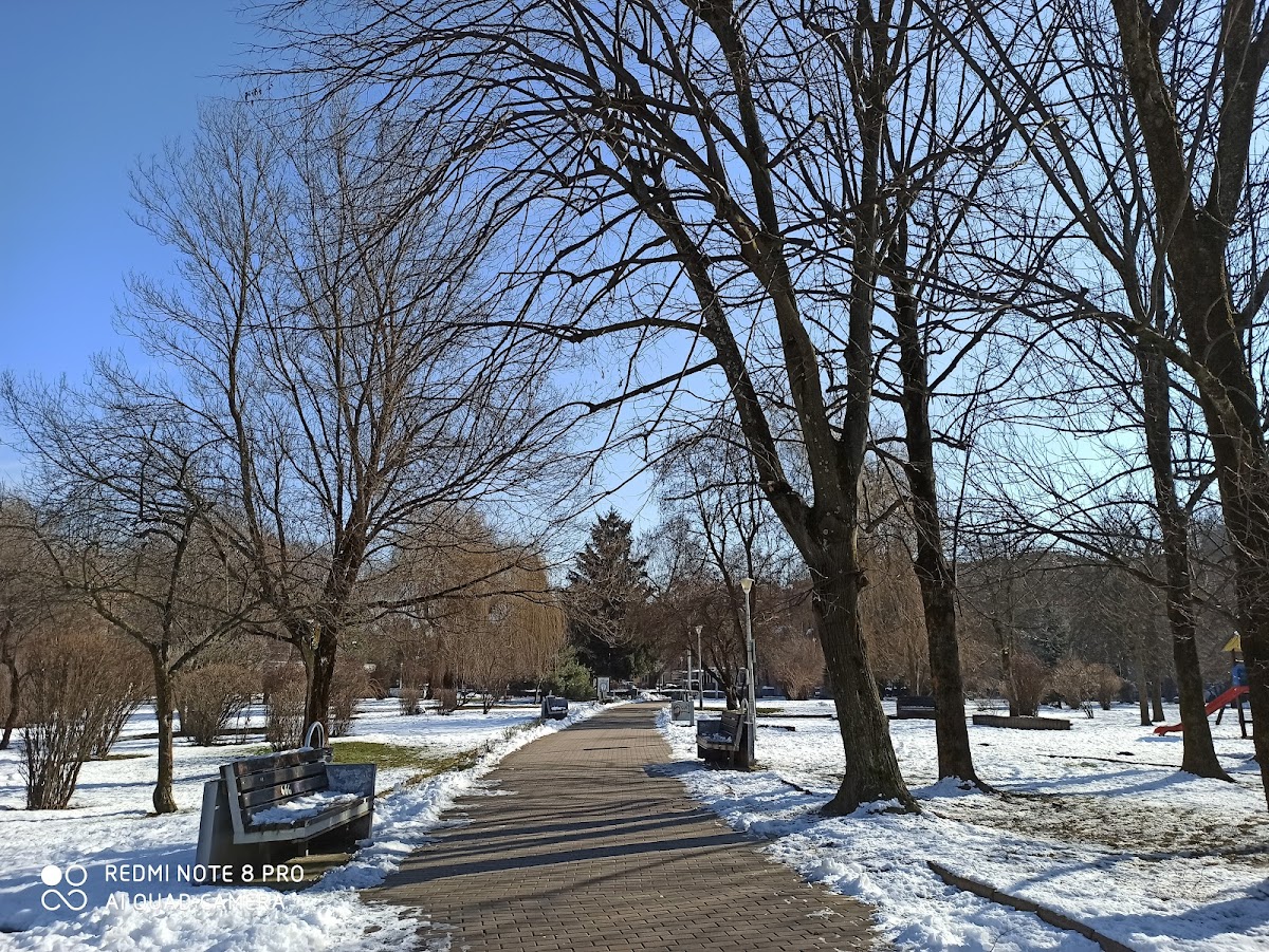 Parc des Écrivains (Dacia Park)