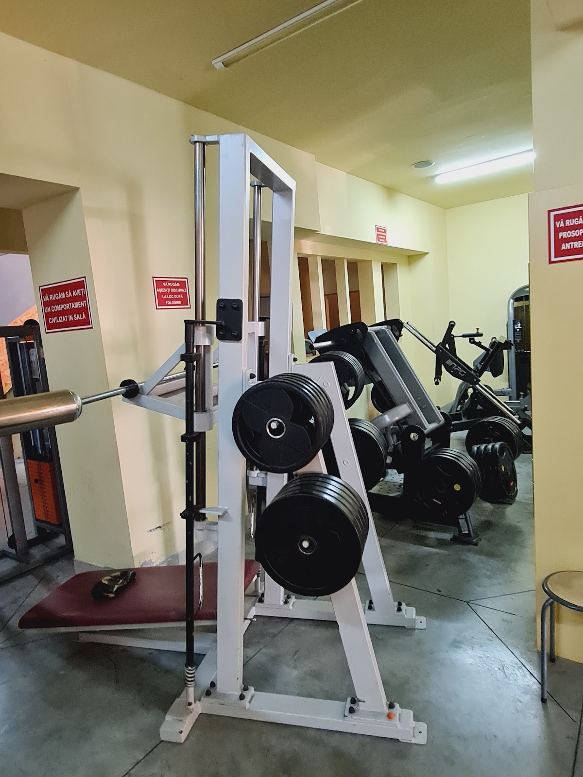 XOX GYM