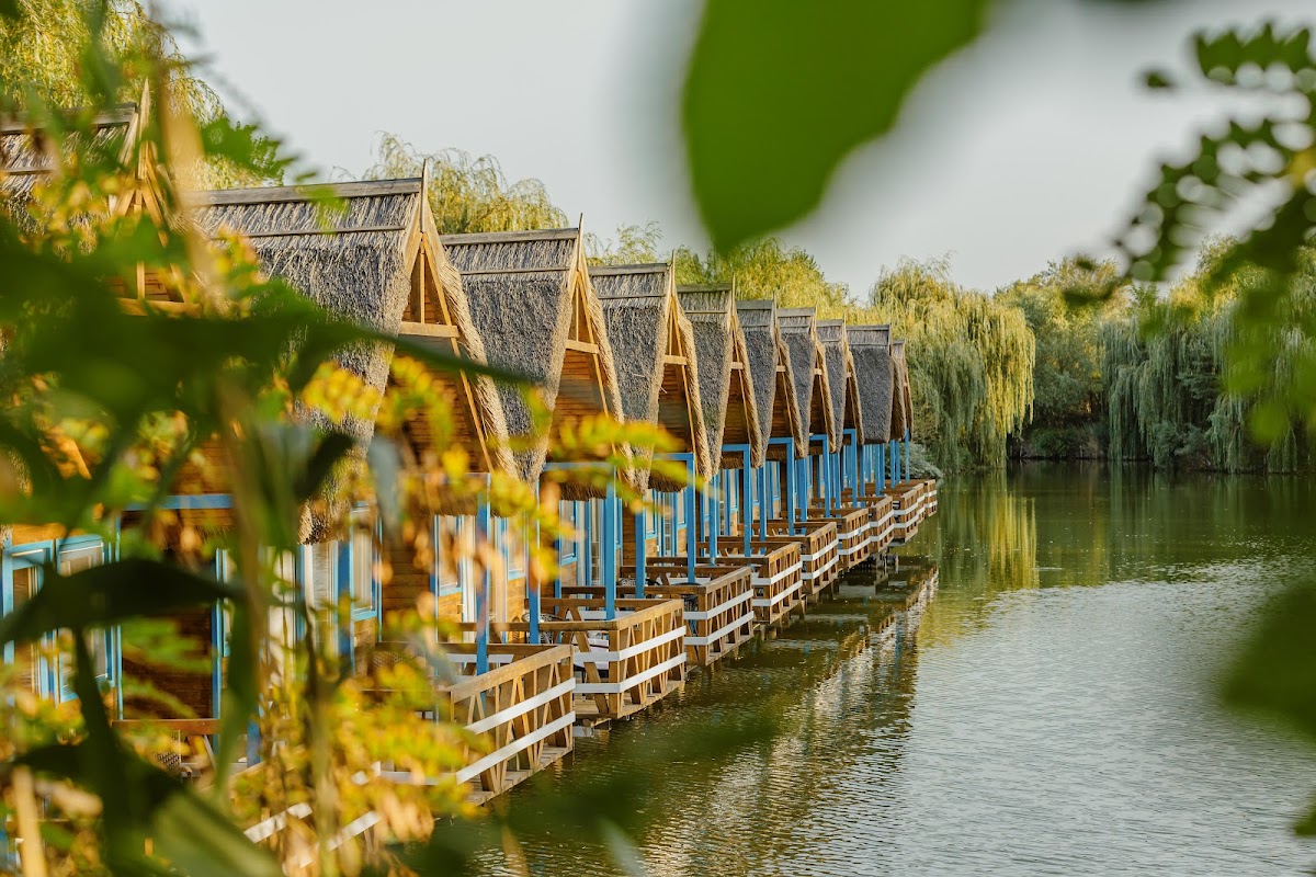 Zaga Zaga Sat. - foto 1