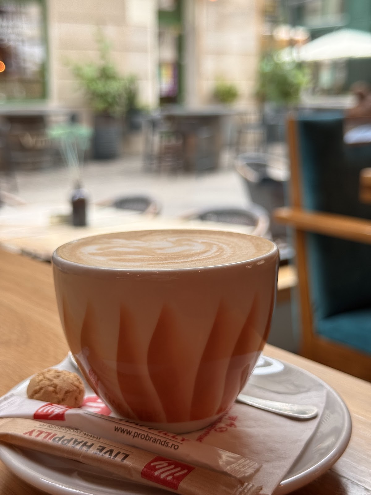Zai Après Café - foto 5