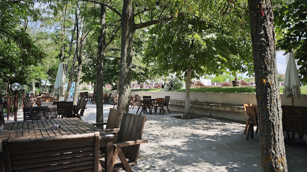 Zanzibar Pub - foto 2