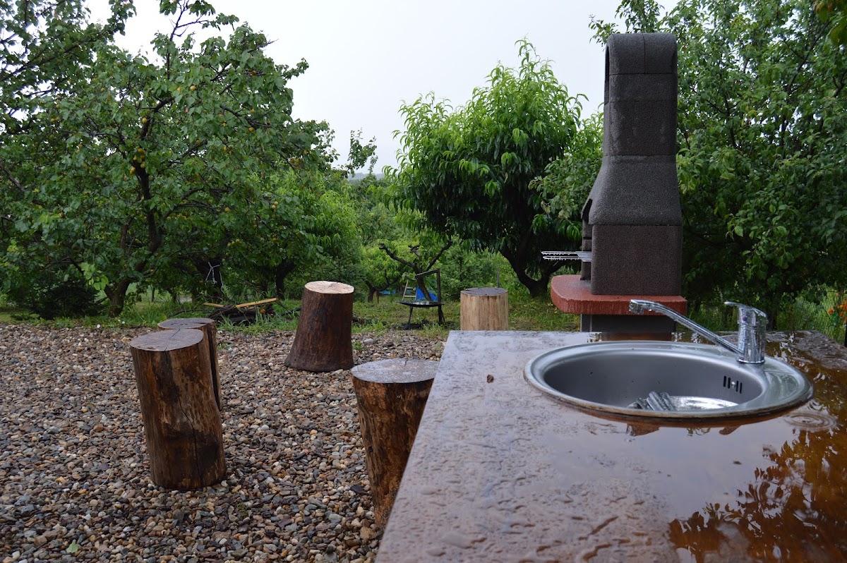Zen Garden Oradea