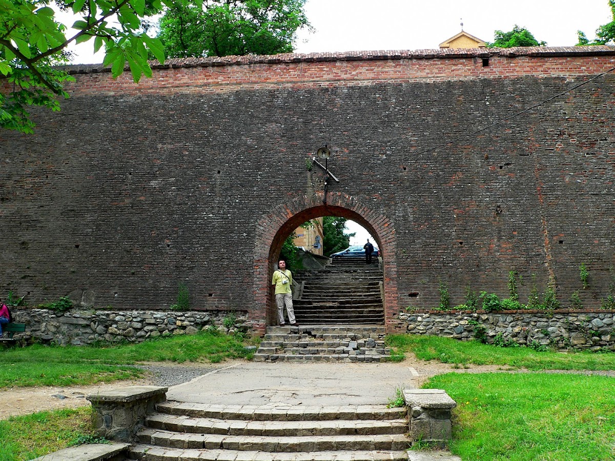 Zidul Cetății