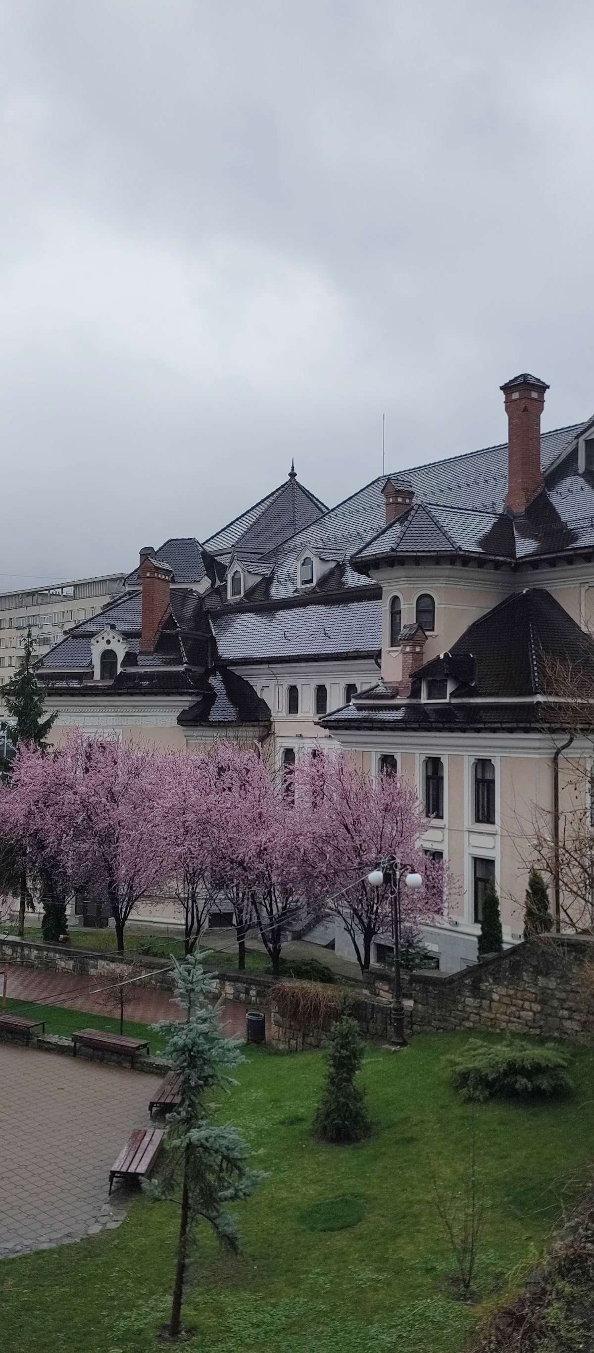 Mur Médiéval de la Forteresse - foto 5