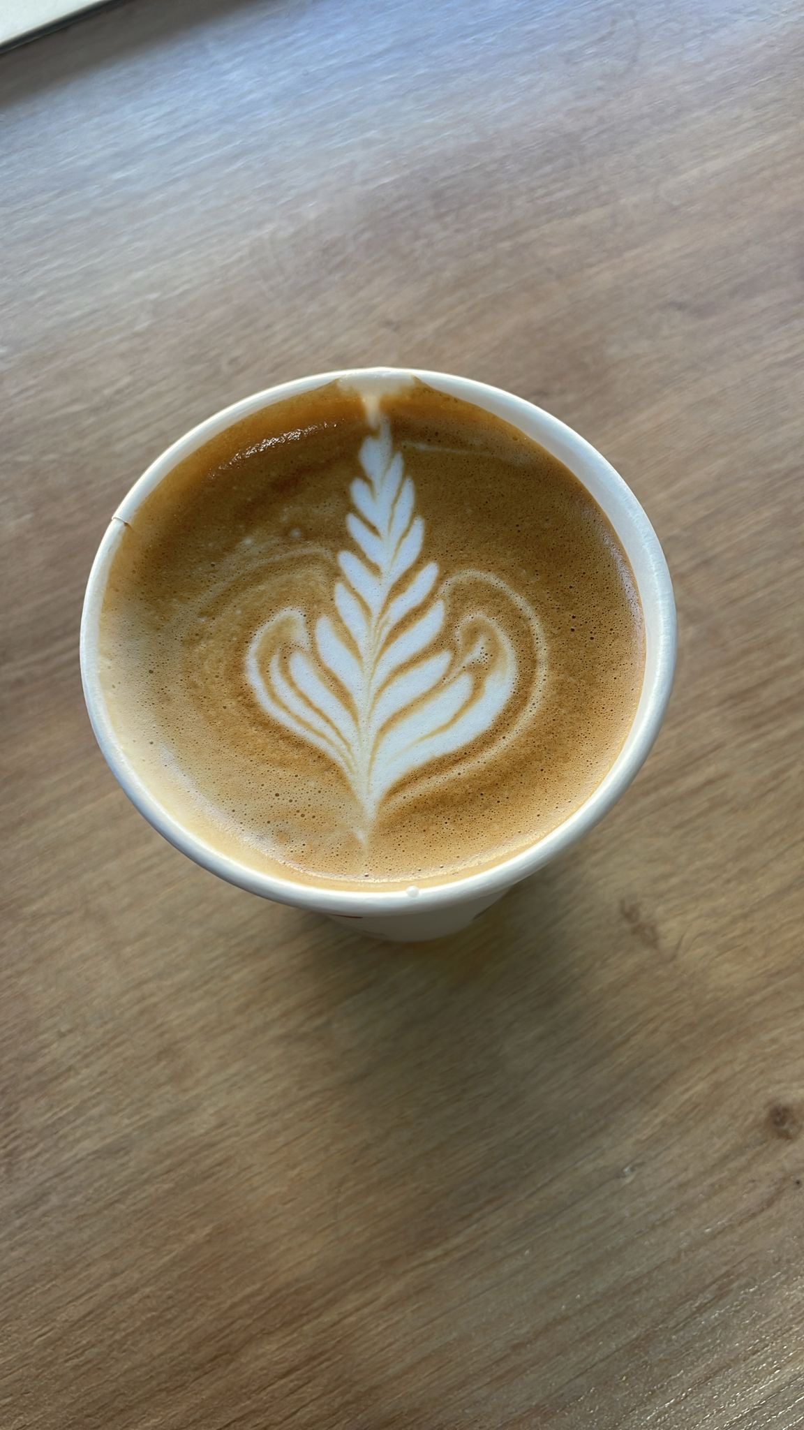 Zireto Caffe - Dorohoi - foto 4