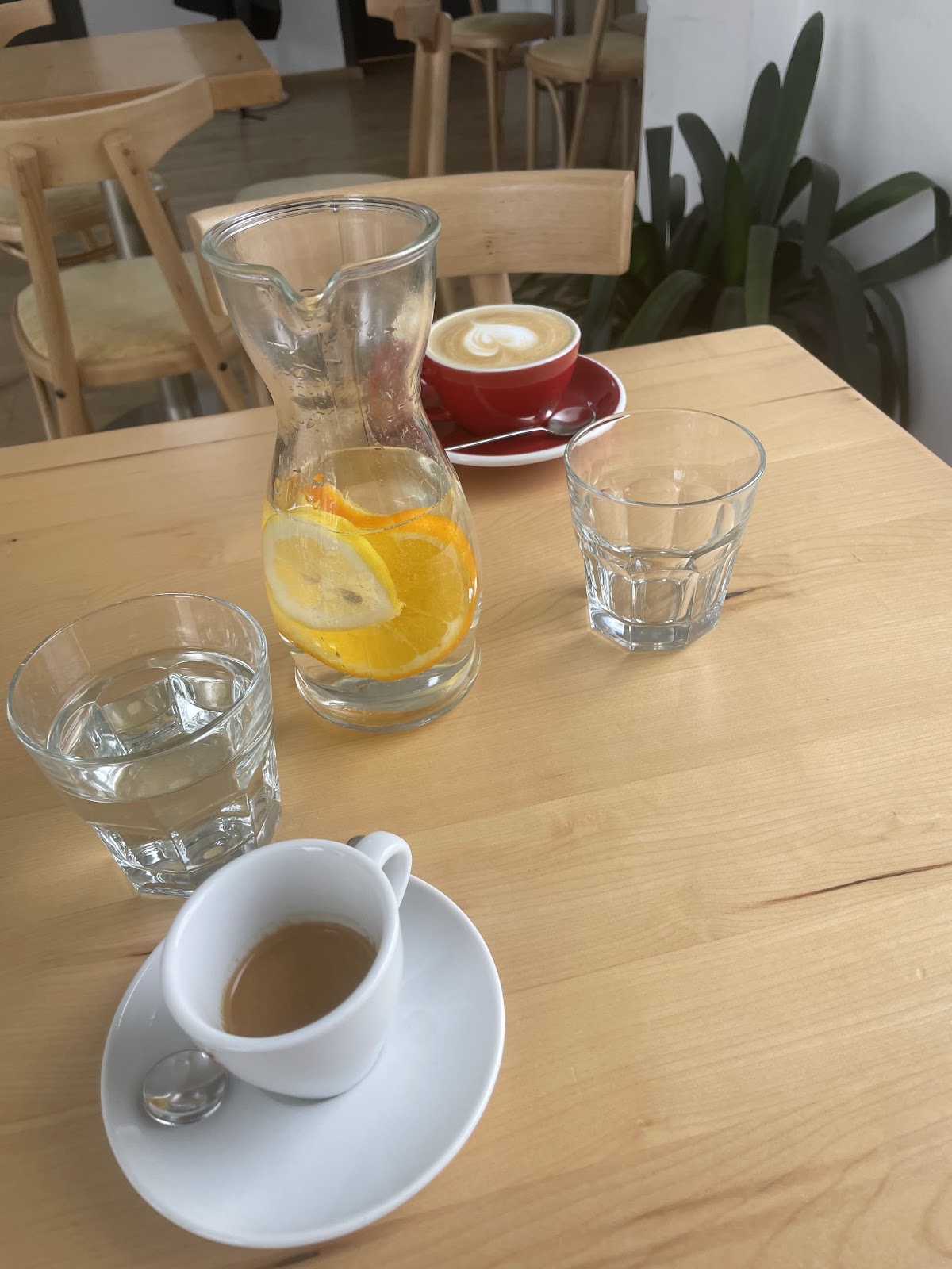 Zocco Caffe - foto 4