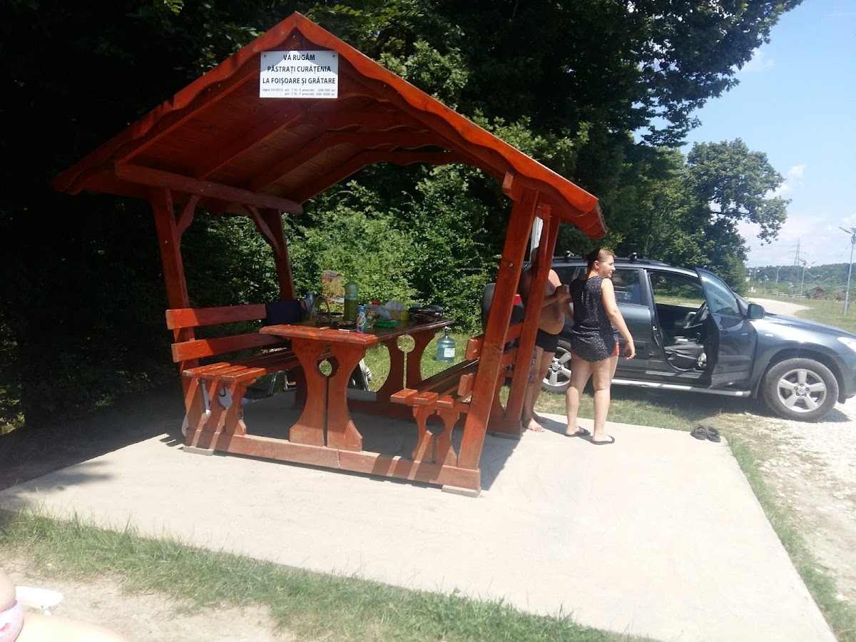 Mioveni Piknikező Terület - foto 2