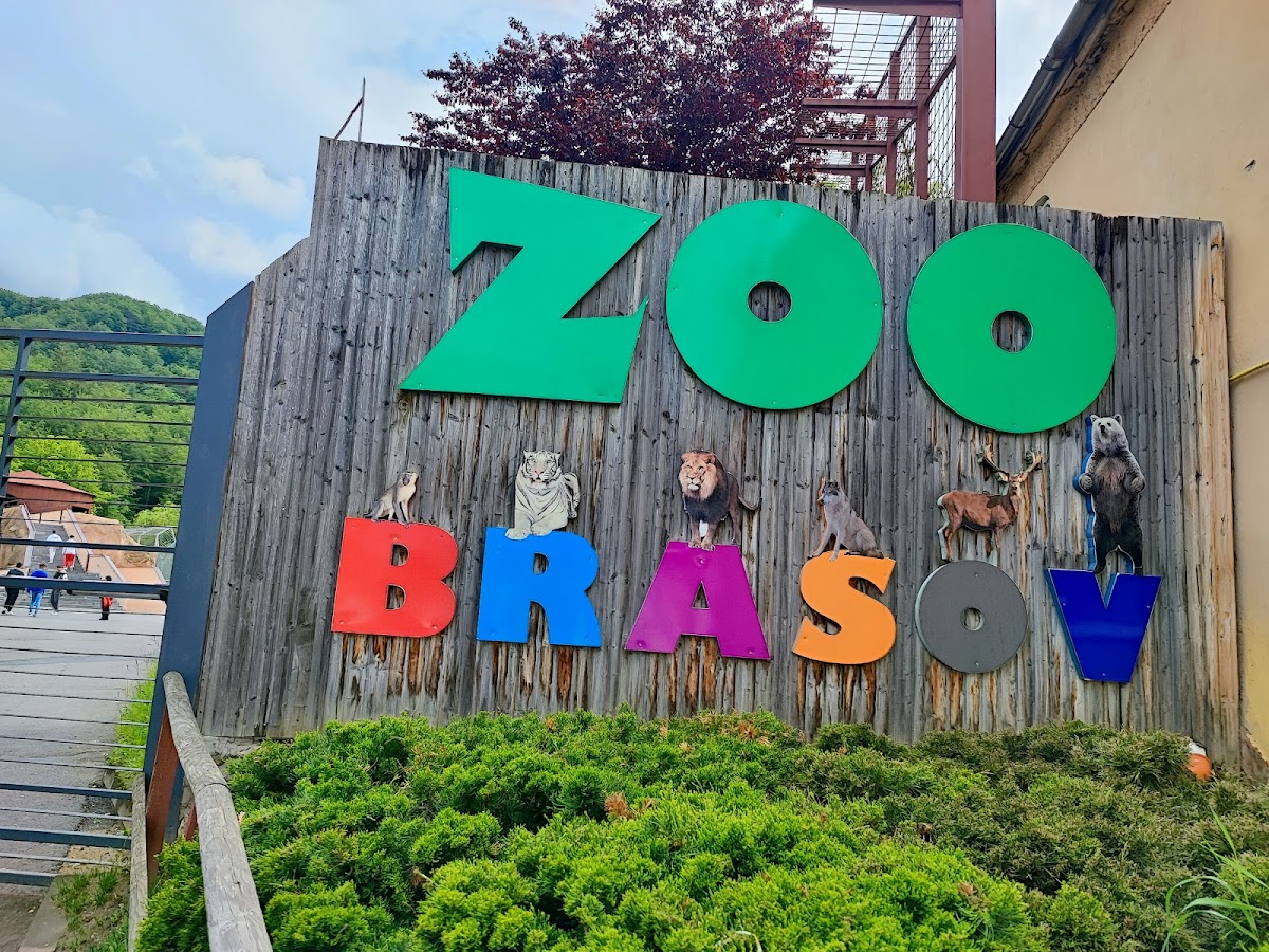 Zoo Brașov - foto 5