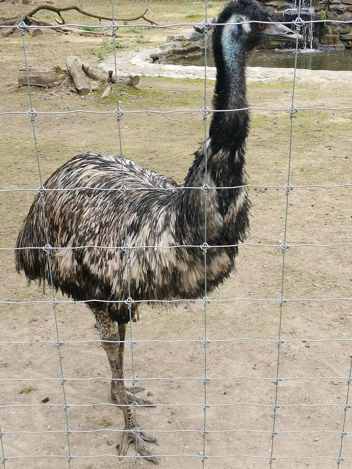 Zoo Târgu Mureș - foto 5