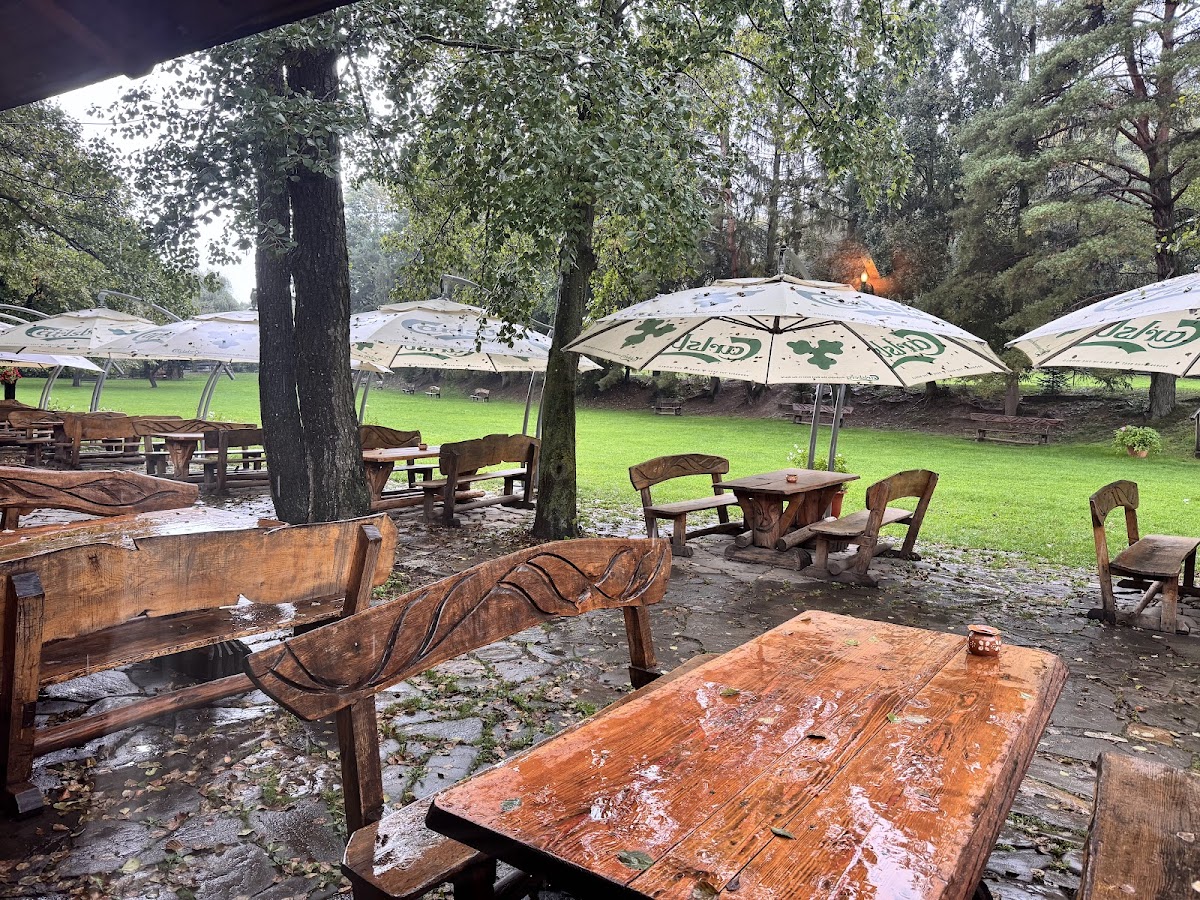 Acasă în Bucovina