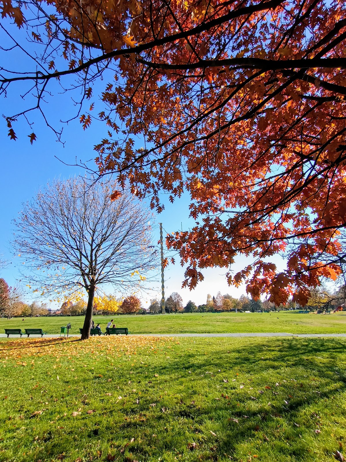 Ansamblul Monumental Brancusi - foto 5