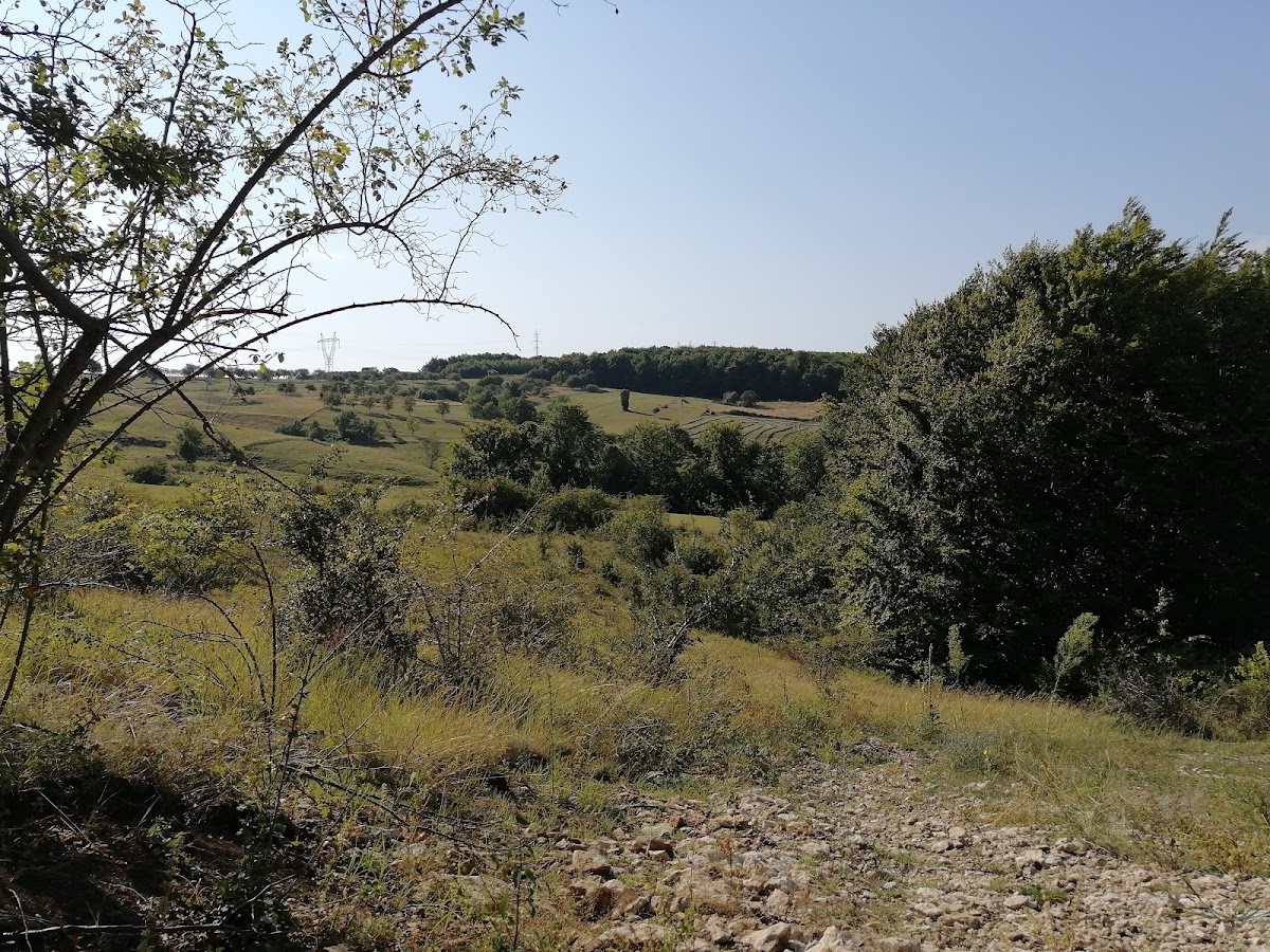 Laendliche Architektur Buteasa