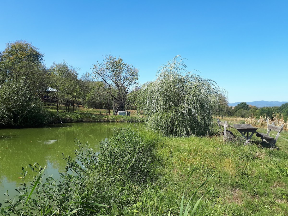 Videki epiteszet Culcea