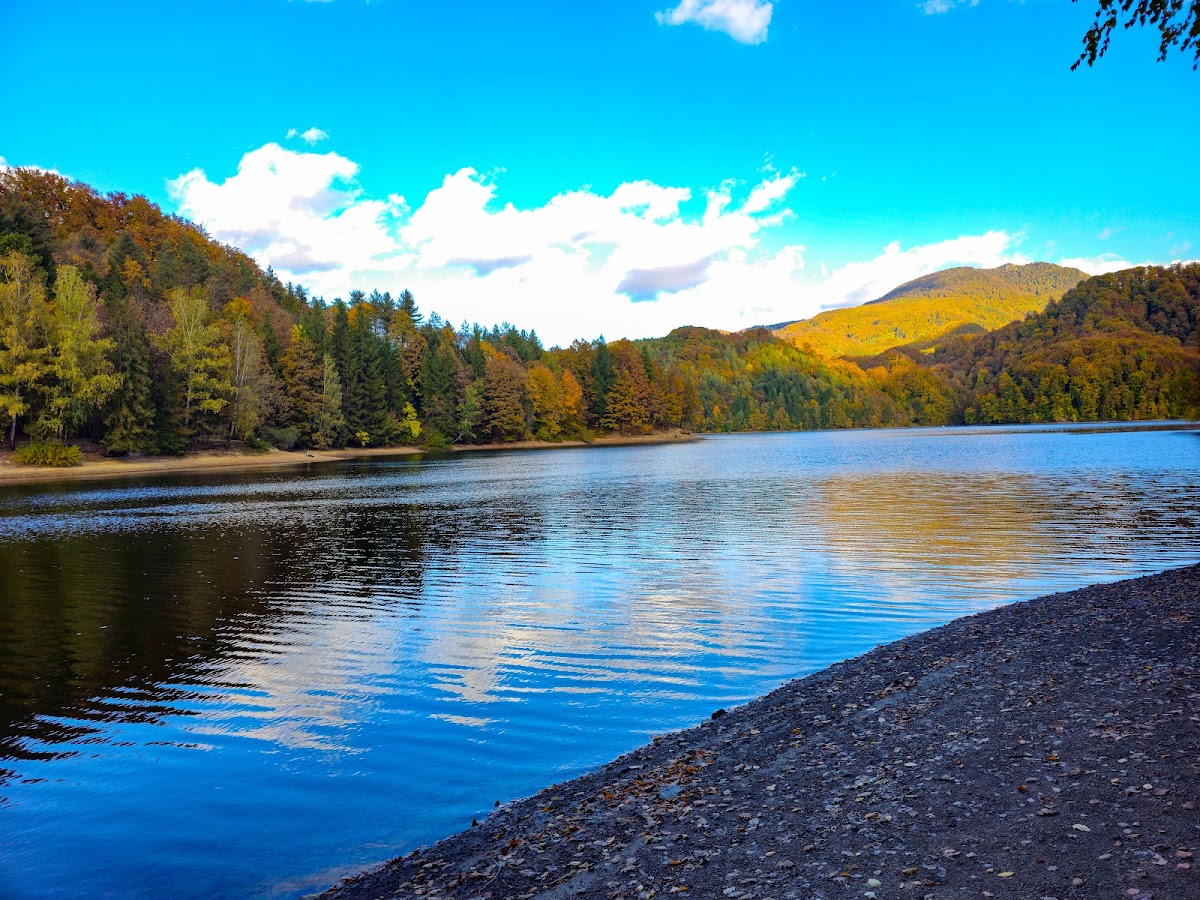 Videki epiteszet Firiza