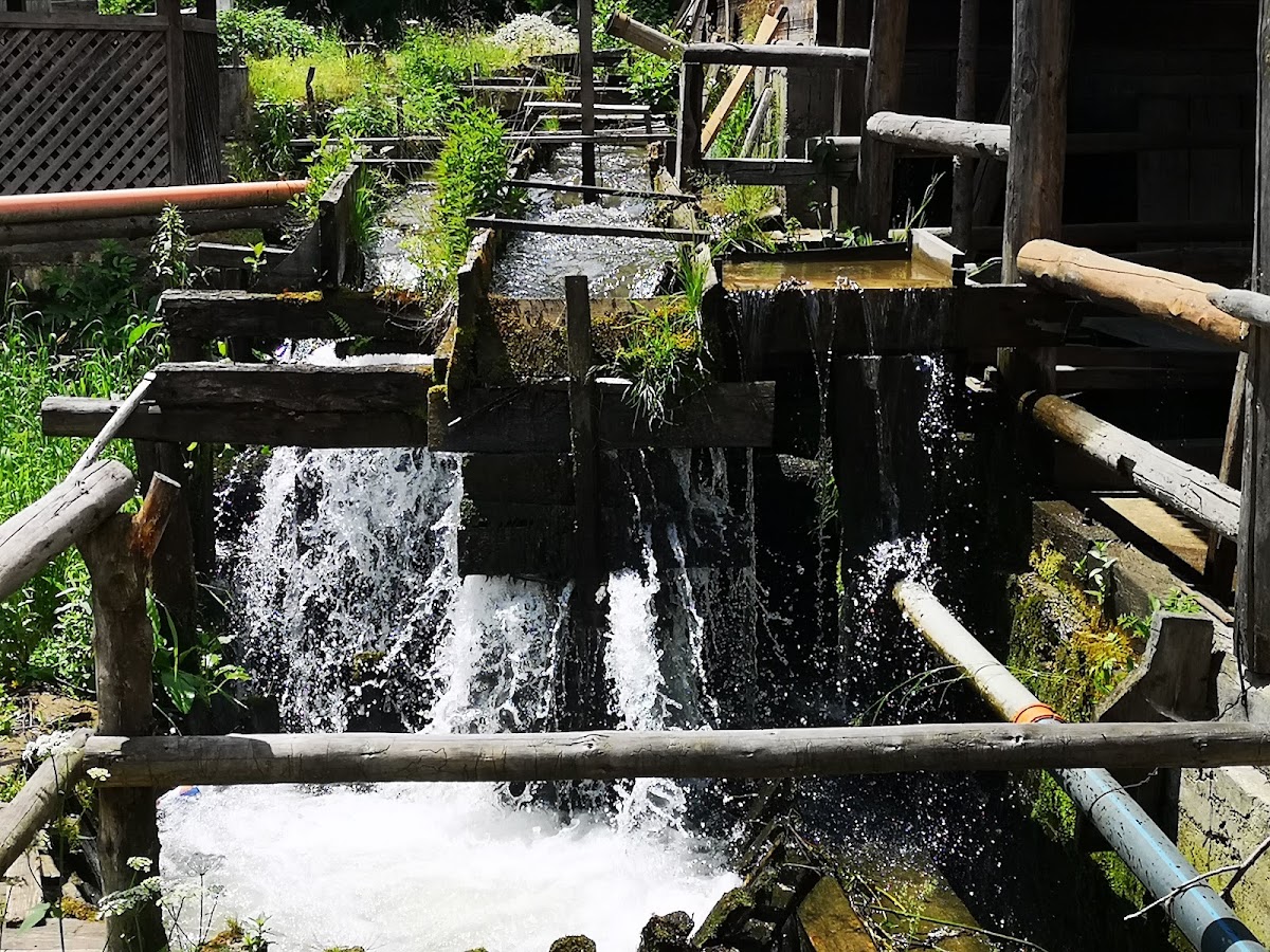 Videki epiteszet Sârbi (Budeşti) - foto 5