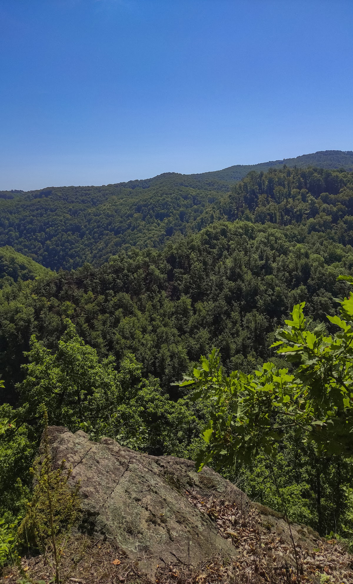 Biserica veche din Aspra